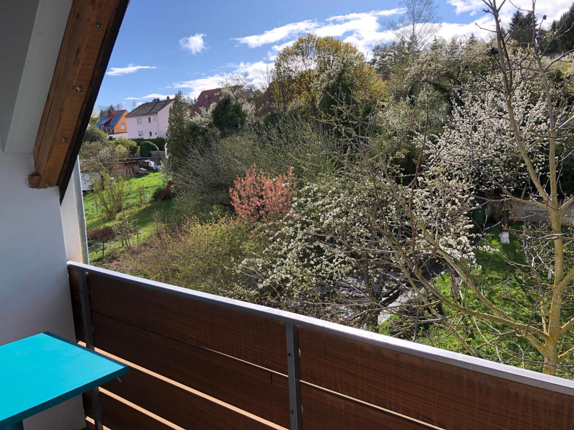 Blaues Zimmer Mit Grossem Balkon, Bad Ist Ein Traum, 50 Schritte Zum Radweg Am Main,Ideal For Short Stay Mainstockheim 外观 照片